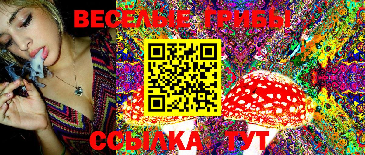 Псилоцибиновые грибы мицелий  Галлюциногенные грибы Cubensis  купить   Вход с VPN  Клинцы 